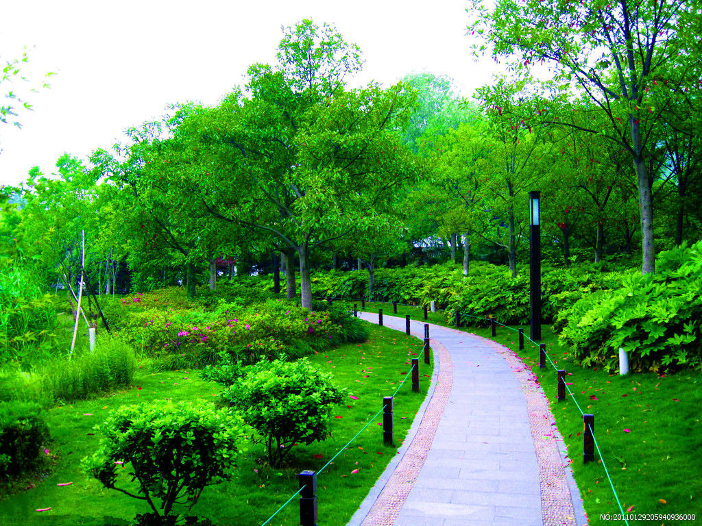 上海园林绿化养护